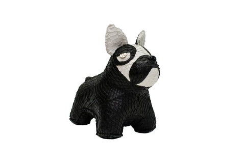 North Pole Dog, Blck/white  Italian Watersnake