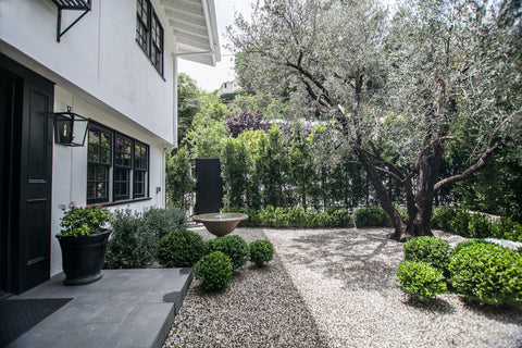 Yard Design